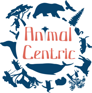 Animalcentriclogo_final.png